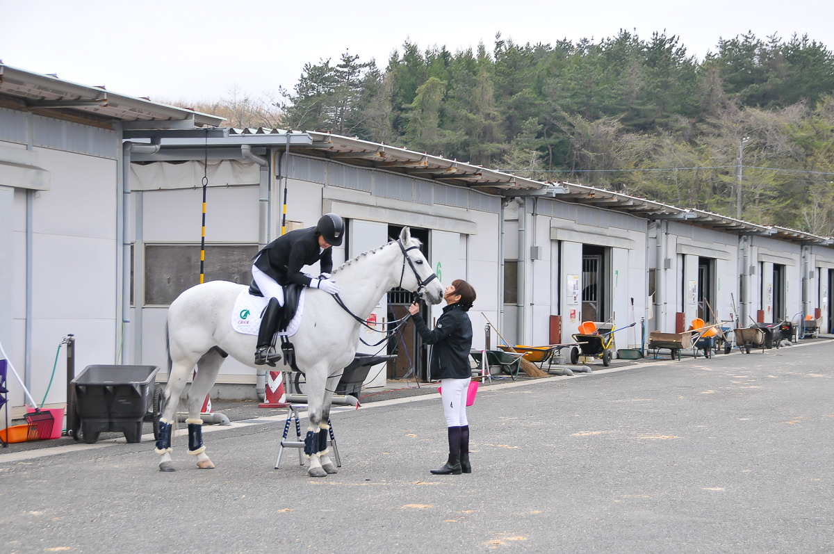 馬術・スポーツセンターについて